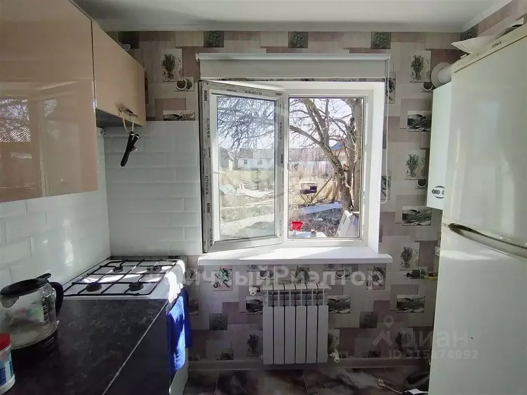 Дом в Рязанская область, Скопин Нижняя ул., 42 (46 м) - Фото 1
