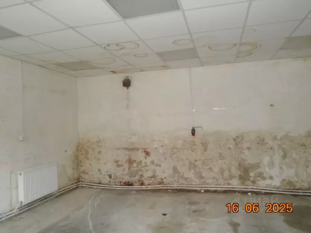 Помещение свободного назначения в Новосибирская область, Новосибирск ... - Фото 1