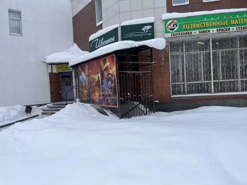 Помещение свободного назначения в Владимирская область, Владимир ул. ... - Фото 1