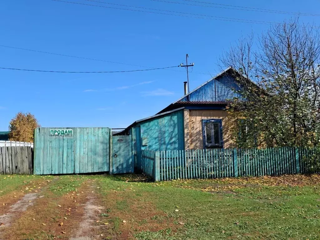 Дом в Новосибирская область, Колывань рп ул. Сергиенко, 10 (38 м) - Фото 1