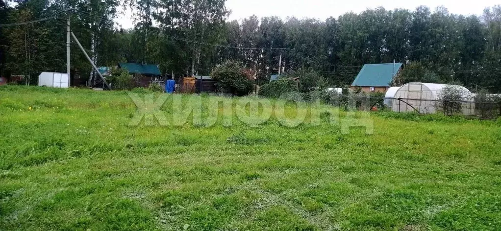 Участок в Новосибирская область, Новосибирский район, Барышевский ... - Фото 0