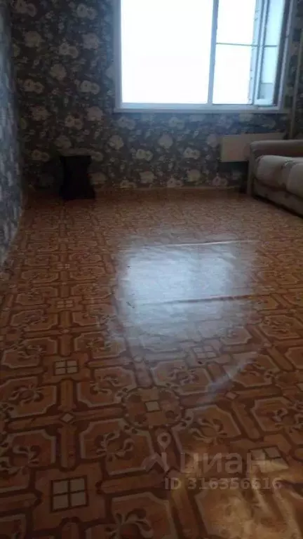 Комната Новосибирская область, Новосибирск ул. Петухова, 12 (17.0 м) - Фото 2