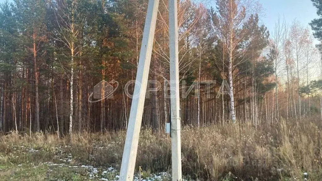 Участок в Тюменская область, Нижнетавдинский район, Березка СНТ  (8.0 ... - Фото 1