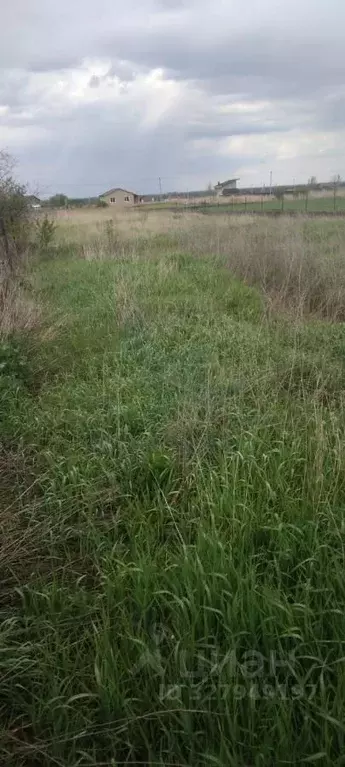 Участок в Воронежская область, Хохольский район, с. Гремячье Садовая ... - Фото 2