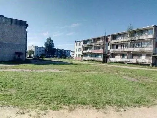 1-к кв. Псковская область, Новоржевский муниципальный округ, д. Выбор ... - Фото 1
