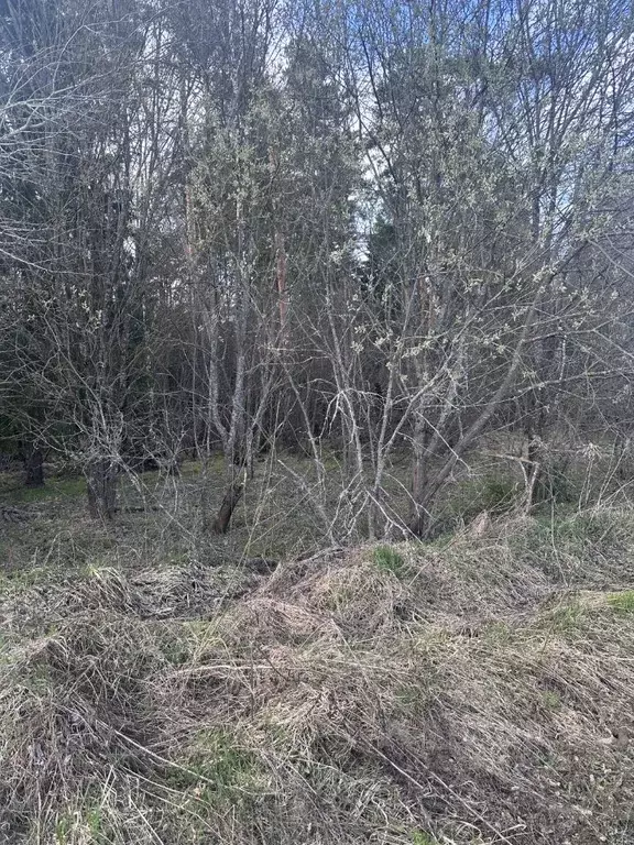 Участок в Московская область, Богородский городской округ, с. Стромынь ... - Фото 1