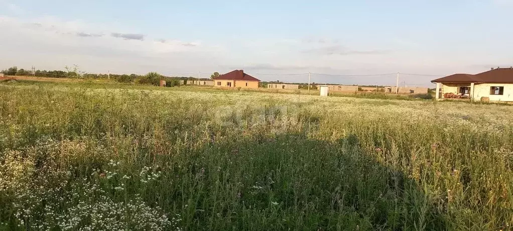 Участок в Белгородская область, Яковлевский городской округ, с. ... - Фото 1