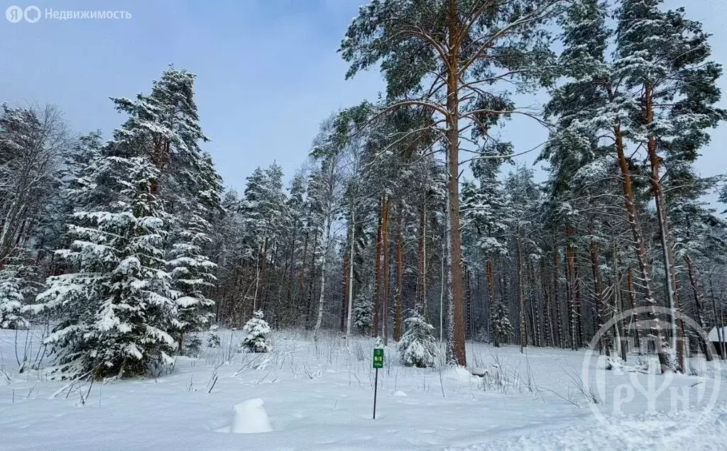 Участок в Выборгский район, Полянское сельское поселение, посёлок ... - Фото 1