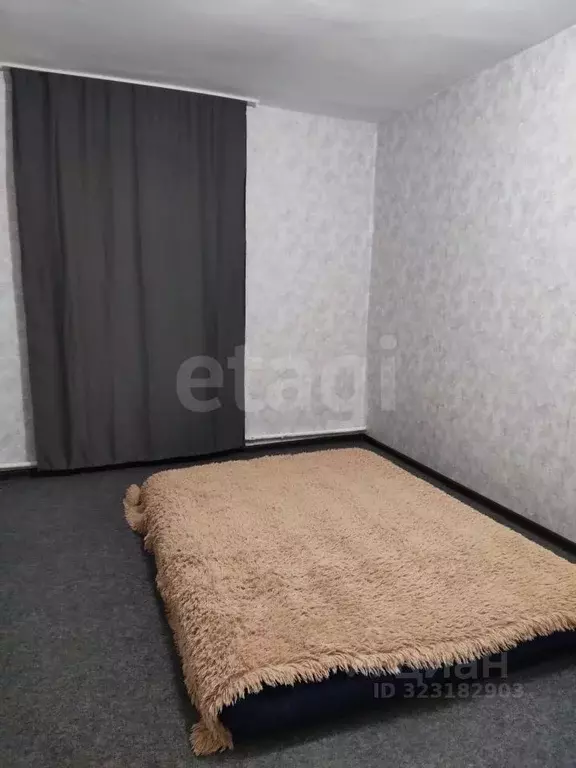 1-к кв. Тюменская область, с. Нижняя Тавда ул. Мысовая, 7Д (25.0 м) - Фото 0