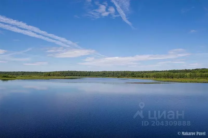 Участок в Тверская область, Оленинский район, д. Дубровка  (25.45 ... - Фото 0