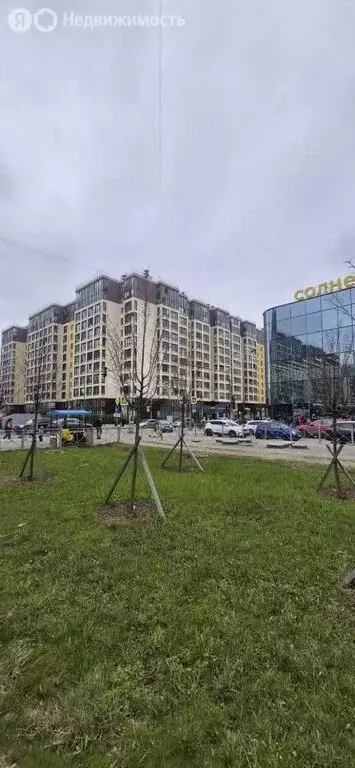 Квартира-студия: Санкт-Петербург, проспект Ветеранов, 171к5 (23.6 м) - Фото 2