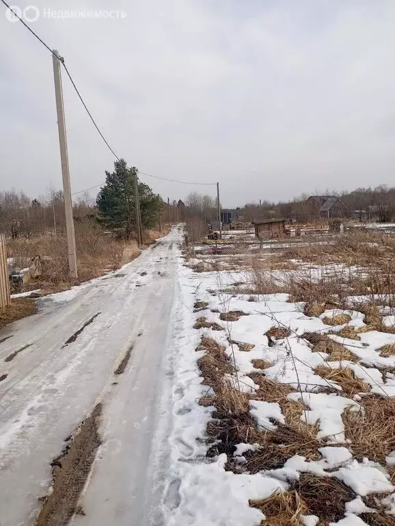 Участок в Вологодский муниципальный округ, садоводческое товарищество ... - Фото 1