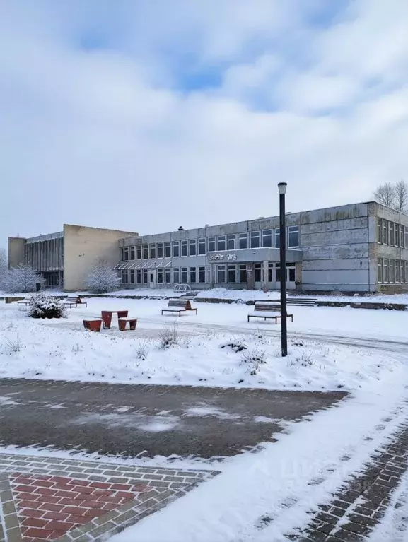 Помещение свободного назначения в Ленинградская область, Волосовский ... - Фото 2