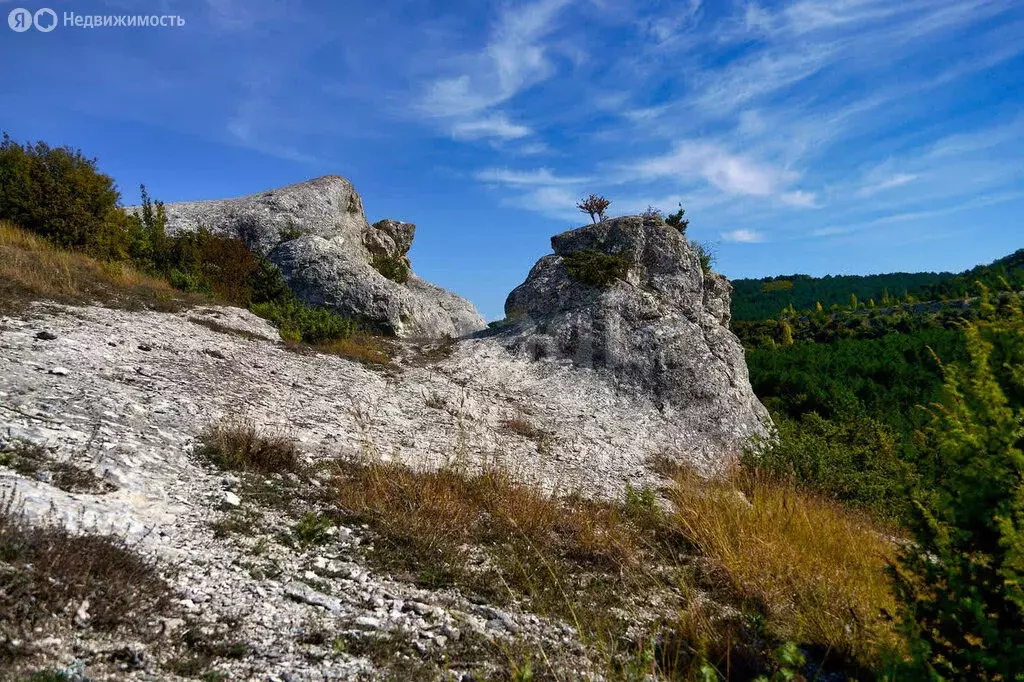 Участок в Бахчисарайский район, Скалистовское сельское поселение, село ... - Фото 1