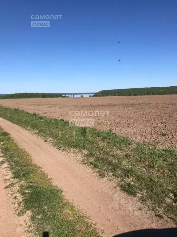 Участок в Марий Эл, Горномарийский район, Кузнецовское с/пос, д. ... - Фото 2