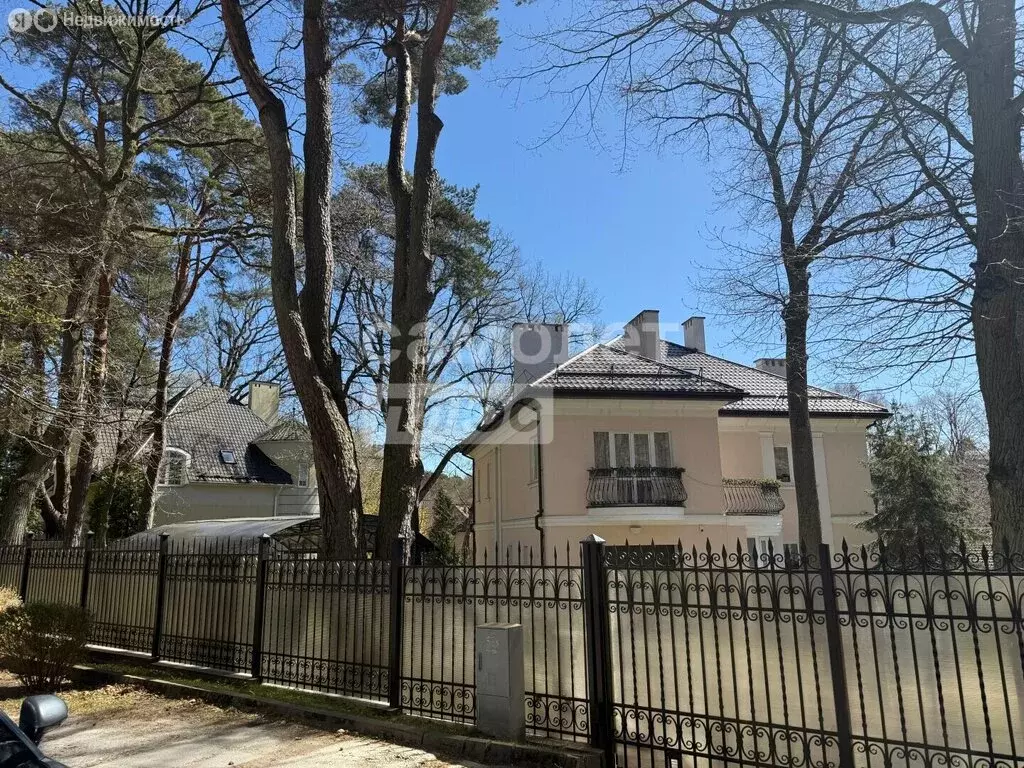 Дом в Светлогорск, улица Горького, 19 (460 м) - Фото 1