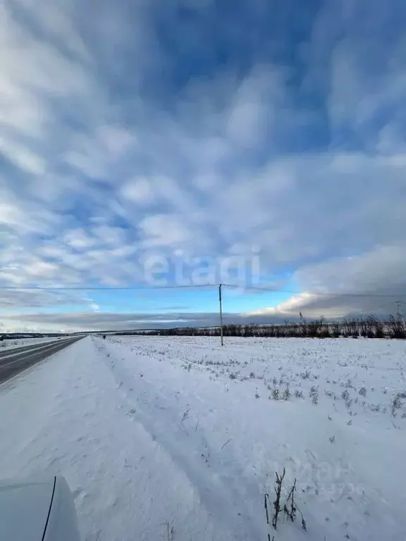 Участок в Иркутская область, Эхирит-Булагатский район, с. Кулункун  ... - Фото 0