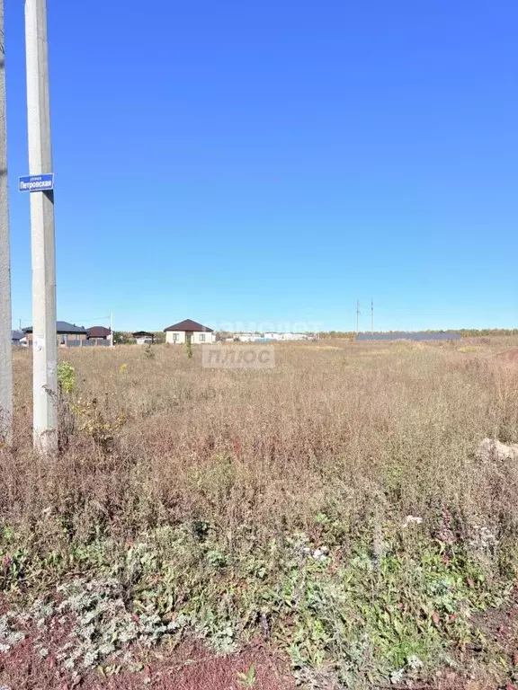 Участок в Липецкая область, Липецкий муниципальный округ, д. Кулешовка ... - Фото 1