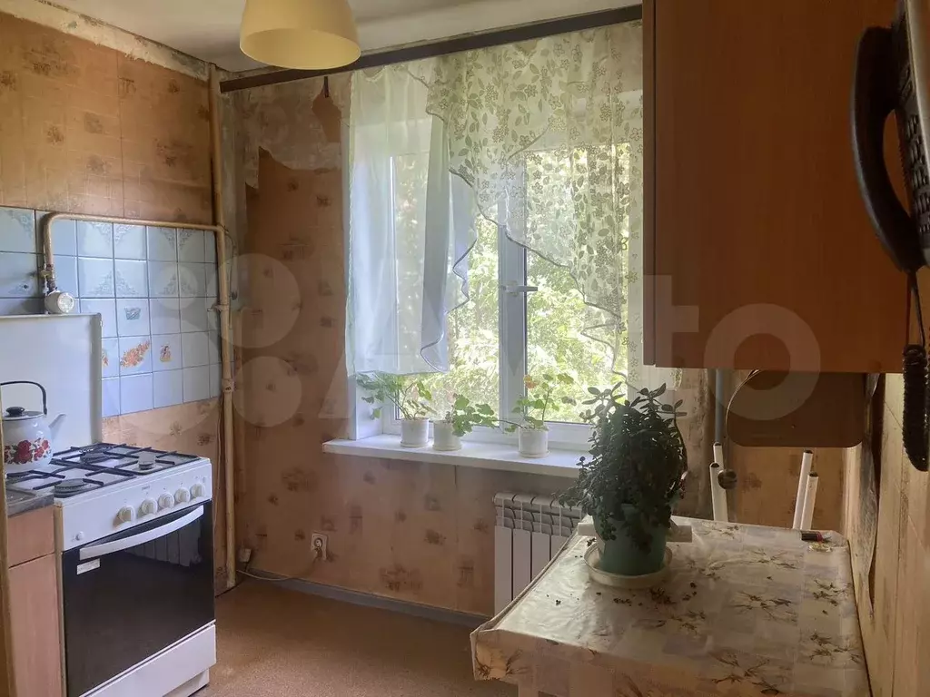 1-к. квартира, 28 м, 3/5 эт. - Фото 1