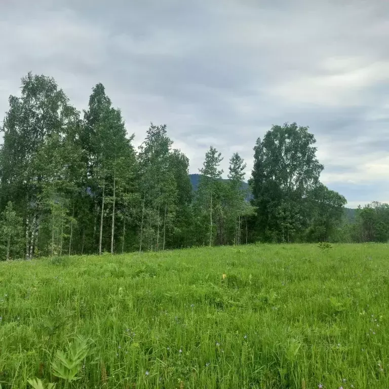 Участок в Алтай, Турочакский район, с. Турочак  (100.0 сот.) - Фото 2