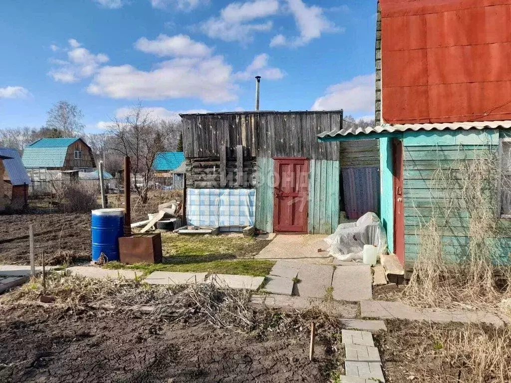 Участок в Новосибирская область, Новосибирский район, Толмачевский ... - Фото 1