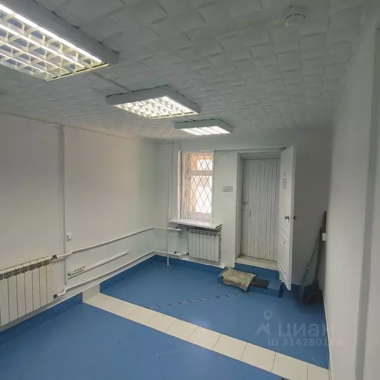 Помещение свободного назначения в Новосибирская область, Новосибирск ... - Фото 2