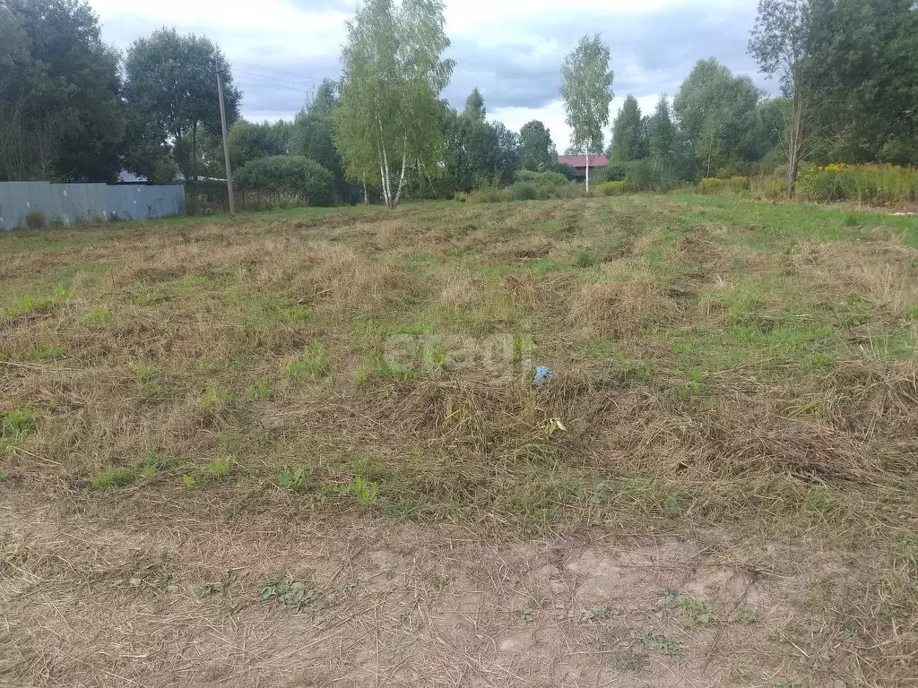 Участок в Калужская область, Перемышльский район, Большие Козлы с/пос, ... - Фото 2