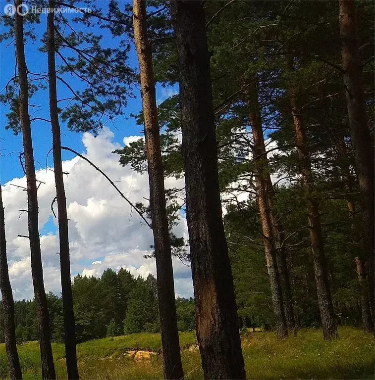 Участок в Тверская область, Калининский муниципальный округ, деревня ... - Фото 2