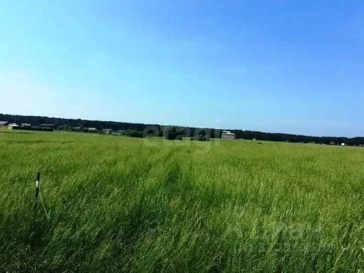 Участок в Башкортостан, Уфимский район, Михайловский сельсовет, д. ... - Фото 2