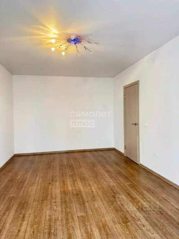 1-к кв. Воронежская область, Воронеж Московский просп., 193 (37.5 м) - Фото 2