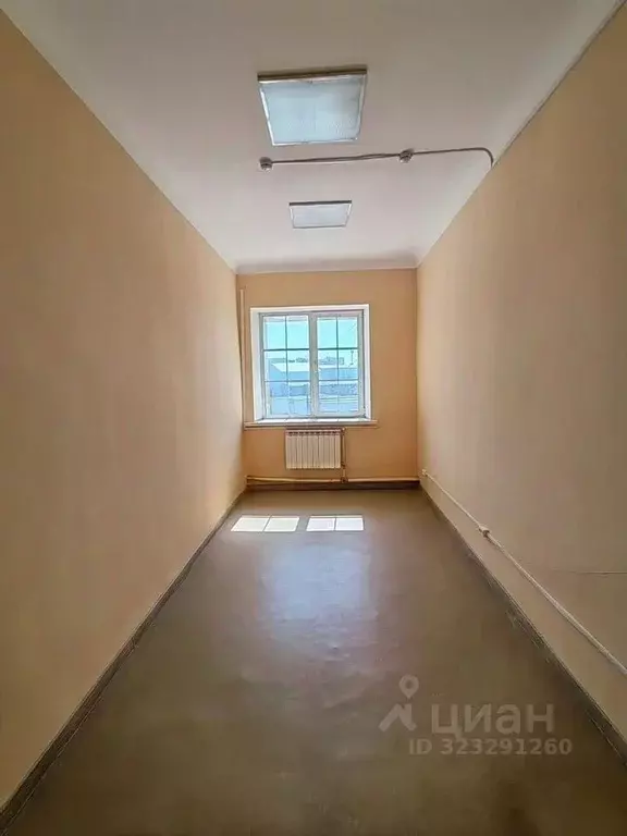 Офис в Новосибирская область, Новосибирск ул. 1-я Ельцовка, 1 (15 м) - Фото 2