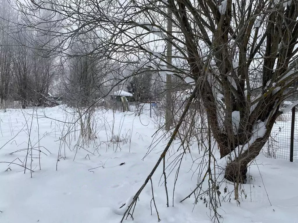 Участок в Московская область, Рузский муниципальный округ, д. Щербинки ... - Фото 1