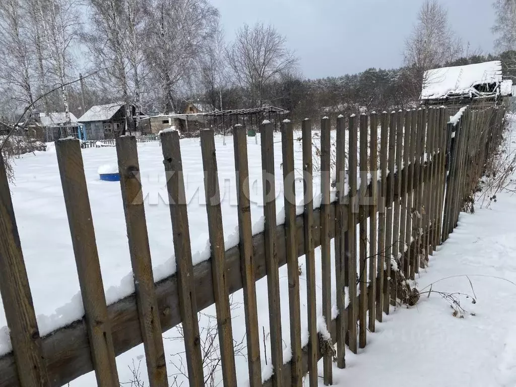 Участок в Новосибирская область, Новосибирск Заря-2 СТ, проезд 7-й ... - Фото 2