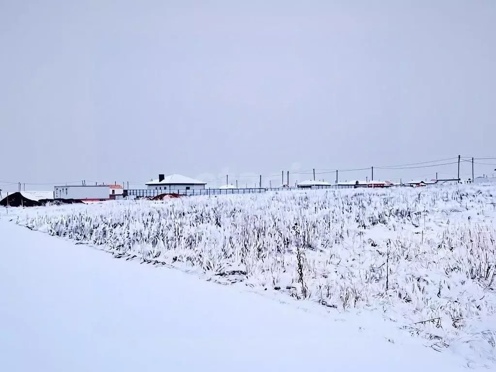 Участок в Саратовская область, Саратов муниципальное образование, пос. ... - Фото 2