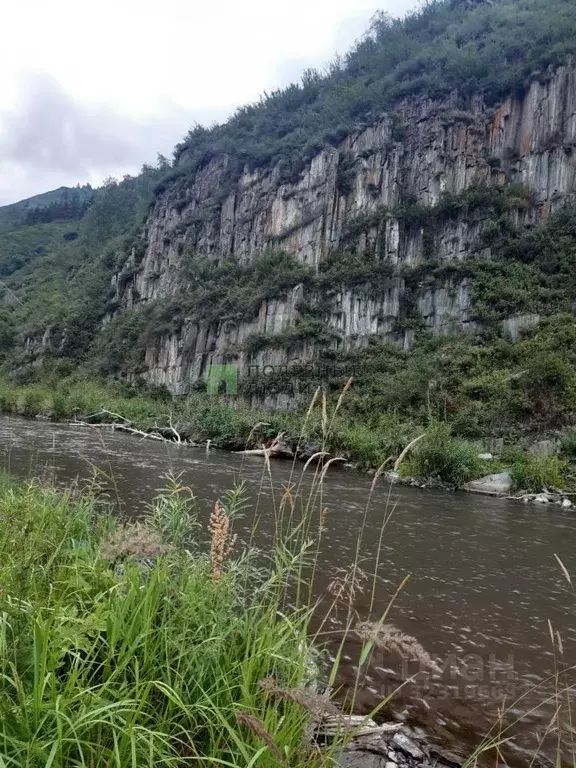 Участок в Алтайский край, Солонешенский район, пос. Тог-Алтай  (2890.0 ... - Фото 1