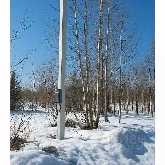 Участок в Кировская область, Киров городской округ, д. Шустовы ул. ... - Фото 1