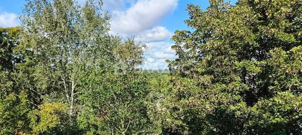 1-к кв. Московская область, Пушкино Заводская ул., 2 (31.2 м) - Фото 2