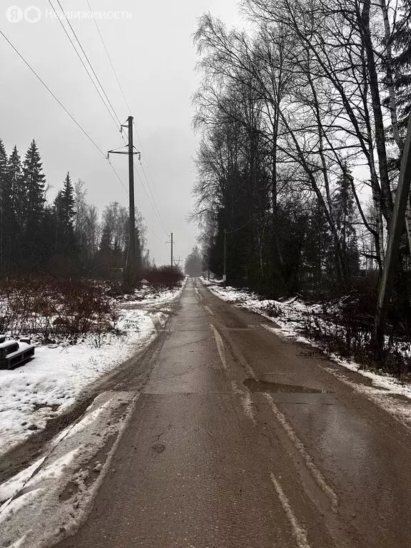 Участок в Московская область, Дмитровский муниципальный округ, посёлок ... - Фото 1