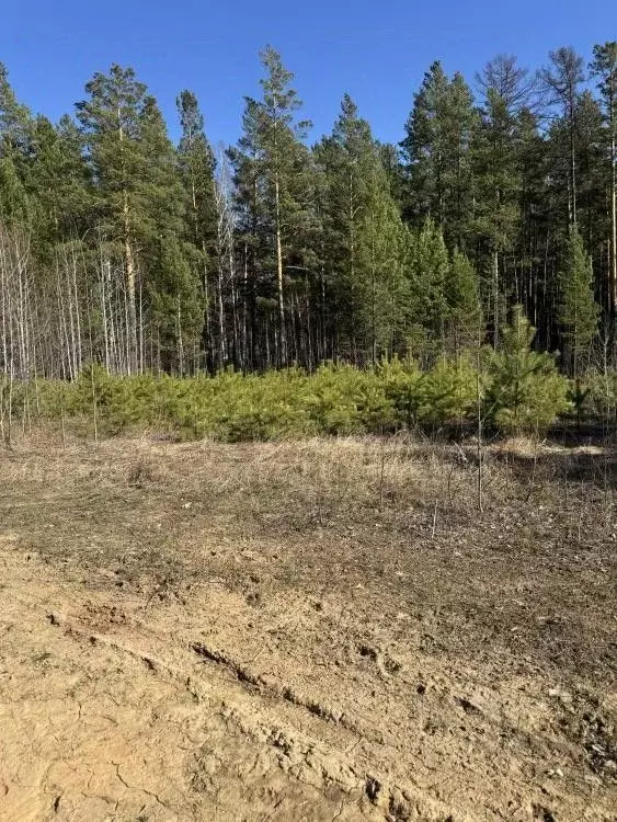 Участок в Иркутская область, Иркутский муниципальный округ, д. ... - Фото 2