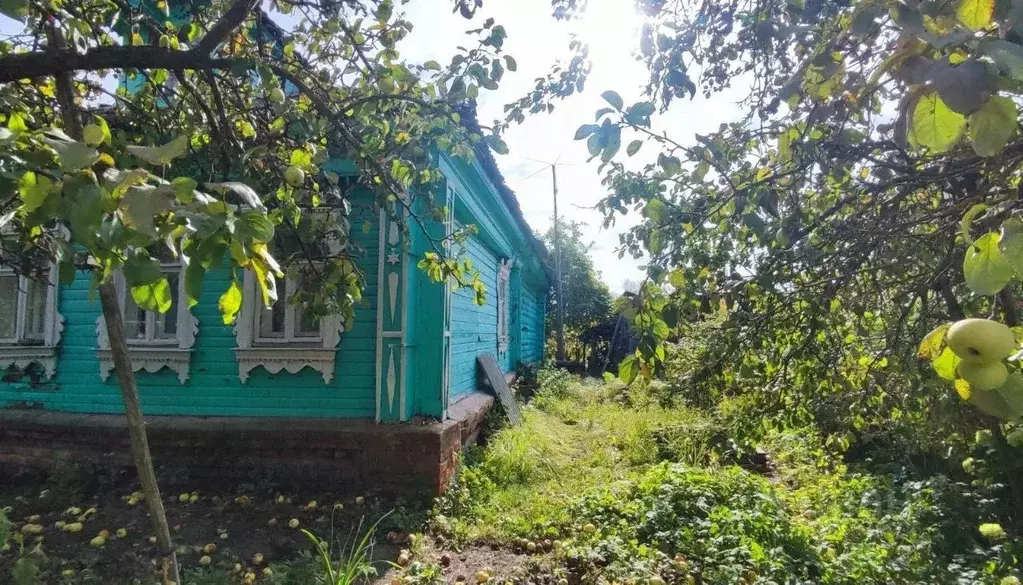 Дом в Московская область, Воскресенск городской округ, с. Усадище ул. ... - Фото 2