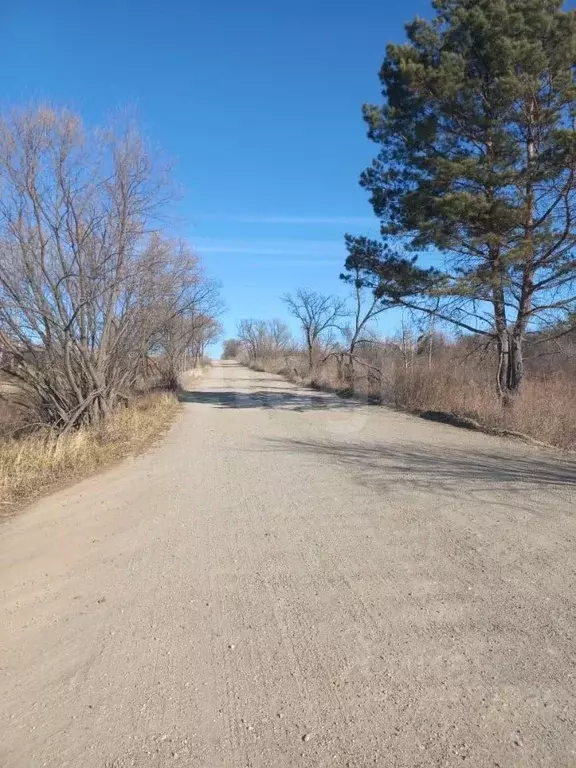 Участок в Амурская область, Благовещенск Новотроицкое ш. (15.0 сот.) - Фото 2