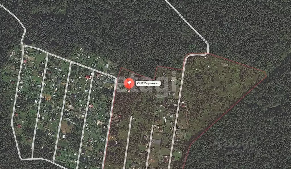 Участок в Московская область, Серпухов городской округ, Воронино СНТ ... - Фото 2