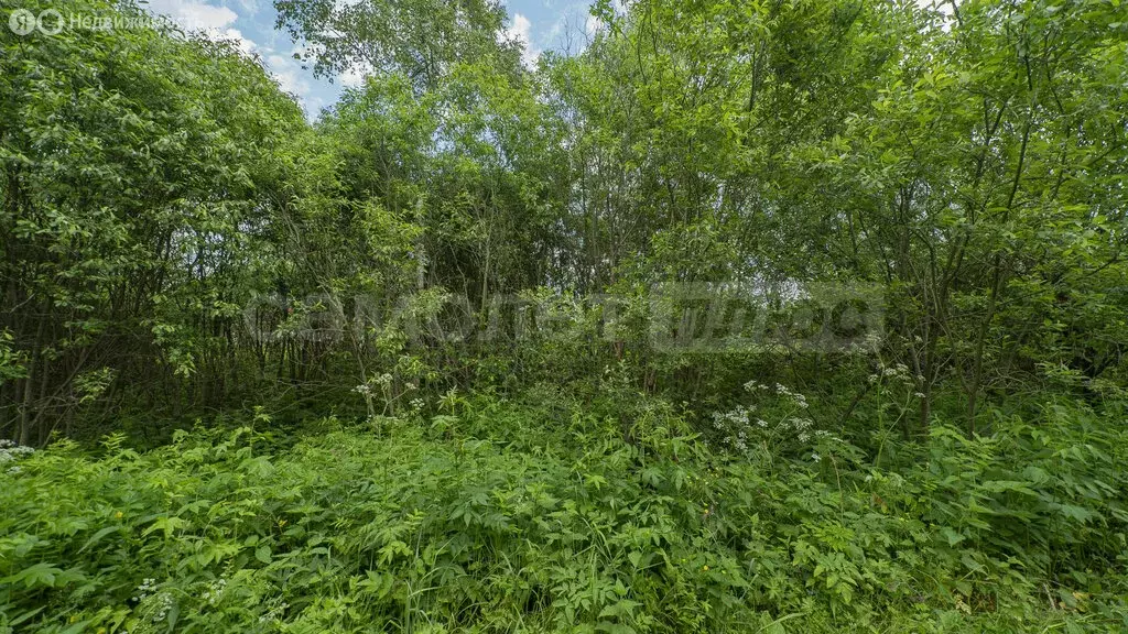 Участок в Наро-Фоминский городской округ, СНТ Мечта (6 м) - Фото 1