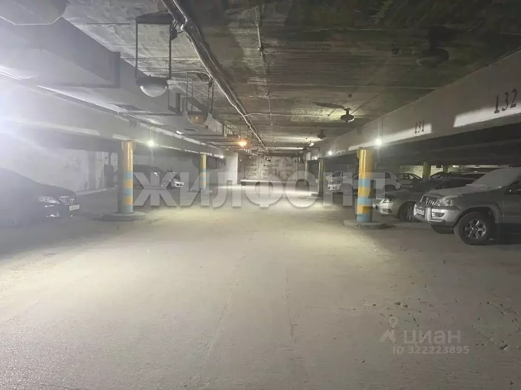 Гараж в Новосибирская область, Новосибирск Выборная ул., 125/3 (18 м) - Фото 1