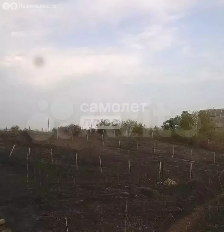 Участок в Краснодарский край, муниципальный округ Анапа, станица ... - Фото 1