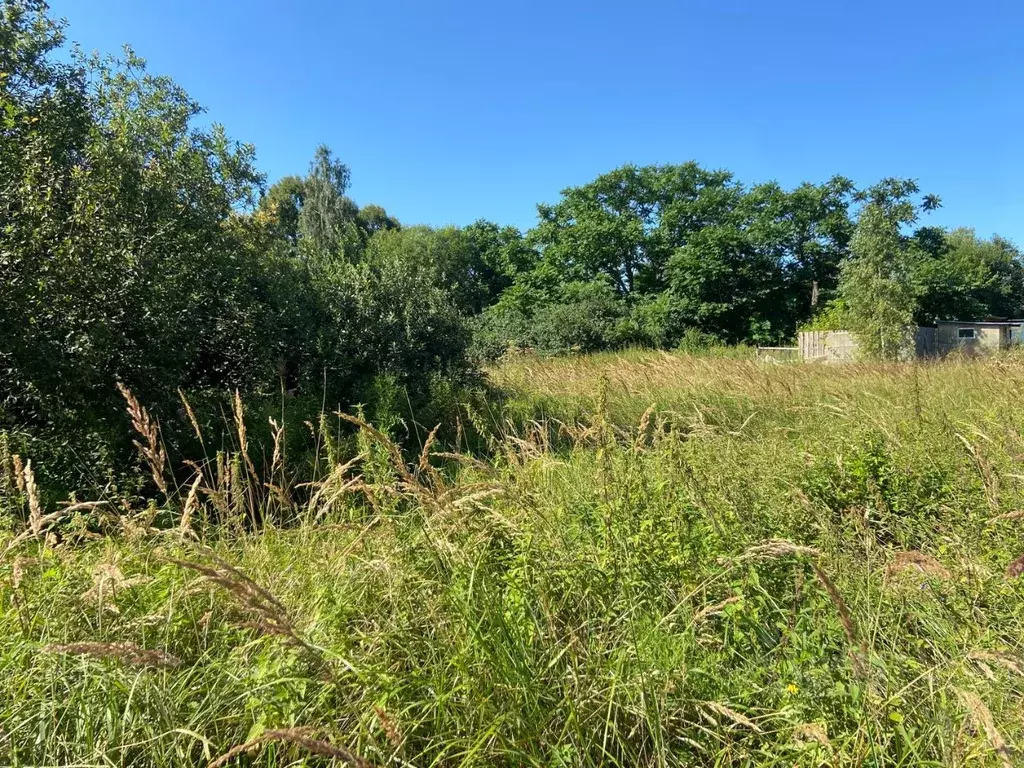 Участок в Московская область, Можайский муниципальный округ, д. ... - Фото 1