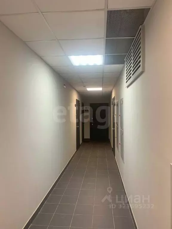 Студия Татарстан, Казань ул. Рауиса Гареева, 113 (32.0 м) - Фото 1