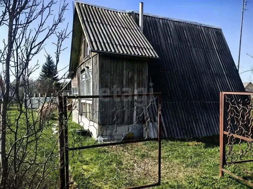 Дом в Псковская область, Островский район, Бережанская волость, ... - Фото 2