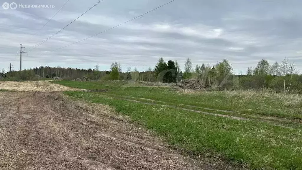 Участок в Свердловская область, Тугулымский муниципальный округ, ... - Фото 1