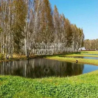 Участок в Московская область, Ступино городской округ, д. Колычево  ... - Фото 0